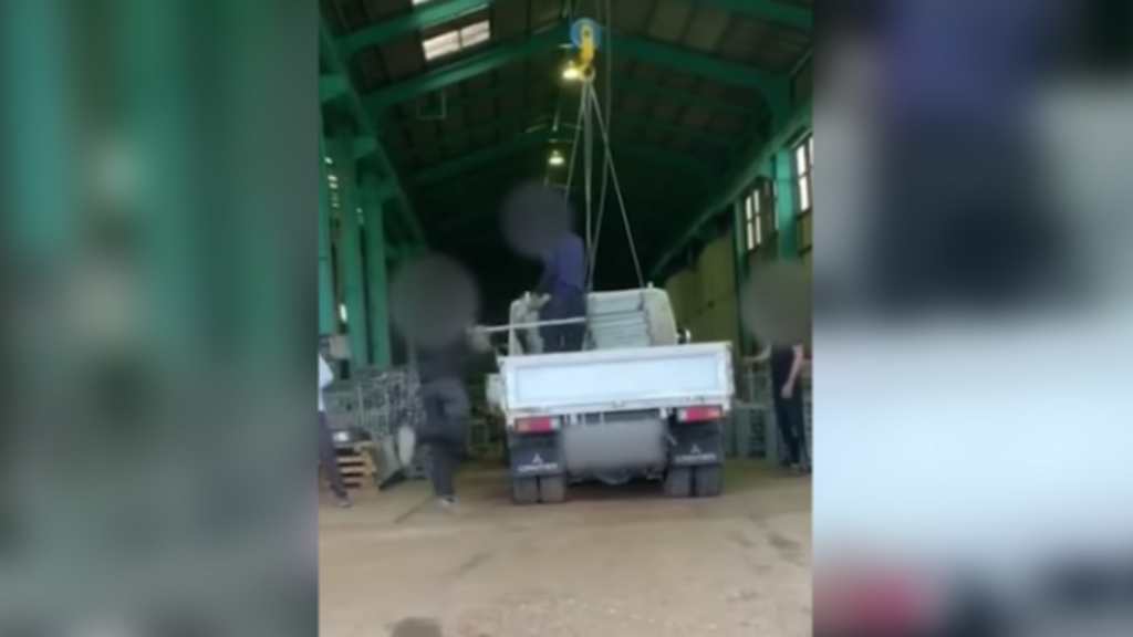 Unbearable hours, threats of being fired: the abuse of migrant interns in Japan